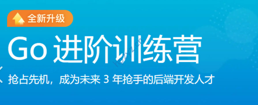 Go 进阶训练营第五期（完结13周）